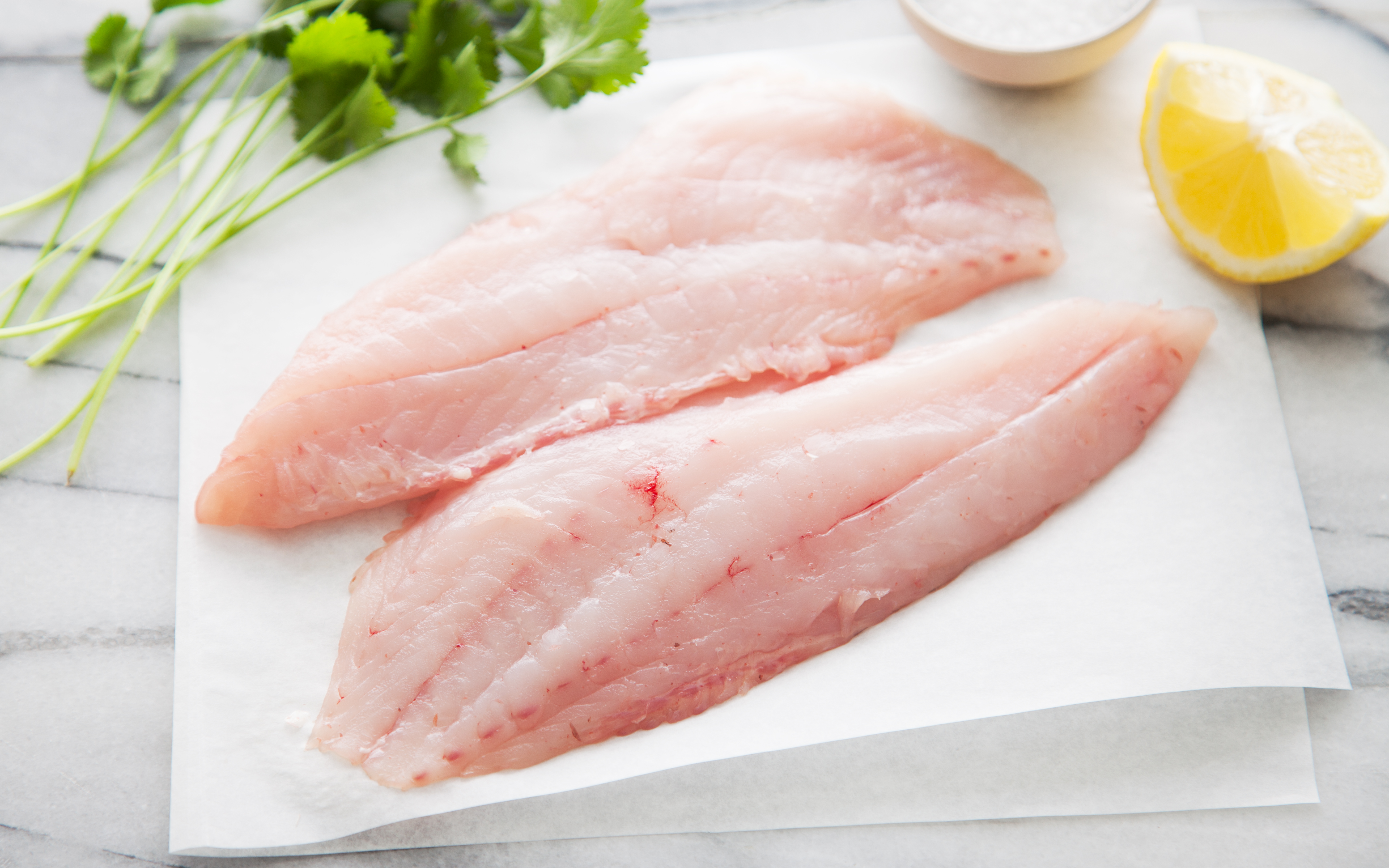 Fresh Rod & Reel Caught Rockfish Fillet Two X Sea SF Bay Good Eggs